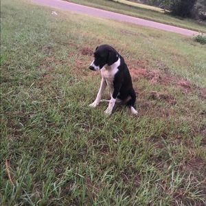 Meet your Posher, Cole